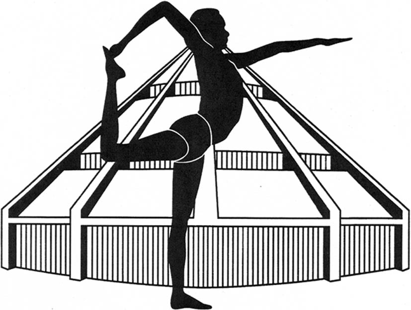 "Le yoga un pas vers la santé avec la méthode IYENGAR à Rouen"
