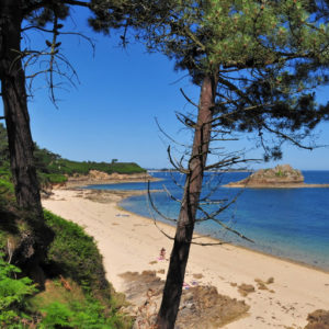 STAGE D'ETE YOGA - INTENSIF